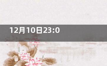 12月10日23:00摩洛哥vs葡萄牙比分预测