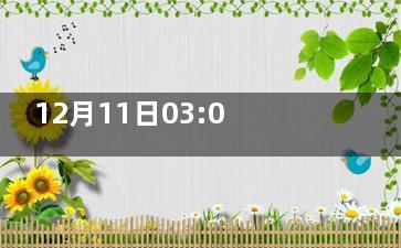 12月11日03:00英格兰vs法国比分预测