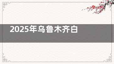 2025年乌鲁木齐白内障手术免费政策：免费名额和补助名额都支持在线申请！