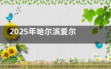 2025年哈尔滨爱尔眼科医院价目表：近视手术12800元起，角膜塑形镜8800元起！