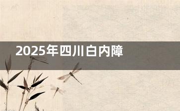 2025年四川白内障免费政策全新消息！申请条件、流程全整理，家有老人的必看！