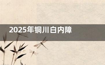 2025年铜川白内障手术免费政策-铜川白内障复明工程新消息!陕西免费白内障手术申请条件流程公布!