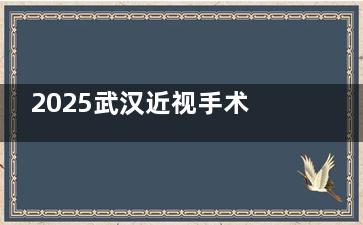 2025武汉近视手术费用大揭秘：半飞秒1.15万，全飞秒1.7万！