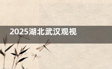 2025湖北武汉观视界眼科收费新标准更新：近视矫正7800+验光配镜100+白内障4250+晶体置换2300+