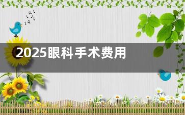 2025眼科手术费用收费一览表，含近视矫正/白内障/斜视/青光眼/OK镜等价格表！