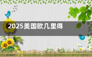 2025美国欧几里得角膜塑形镜多少钱？市场价格在8800元起，不同眼科医院价格有所浮动