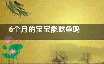 6个月的宝宝能吃鱼吗？6个月宝宝食谱(6个月的宝宝能吃草莓吗)