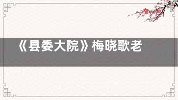 《县委大院》梅晓歌老婆是谁