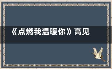 《点燃我温暖你》高见鸿敢直接抄源代码是怎么回事