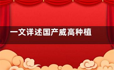 一文详述国产威高种植牙的优缺点，适应广/材质好/但使用年限有限，价格在3000元起