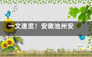 一文速览！安徽池州安美口腔价格表全公开，收费价目一览无余