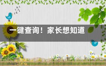 一键查询！家长想知道的济南角膜塑形镜大概多少钱？国产单片3000+/进口单片5450+