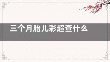 三个月胎儿彩超查什么(三个月胎儿彩超图片)