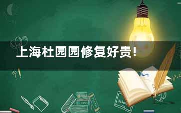 上海杜园园修复好贵!!!我找杜园园修复眼睛10万手术费用,但不得不说结果真不一样~