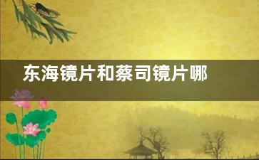 东海镜片和蔡司镜片哪个好？蔡司光学性能和功能性更突出，东海更适配东方人脸型！