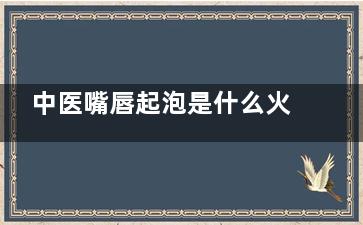 中医嘴唇起泡是什么火(中医嘴唇起泡是什么意思)