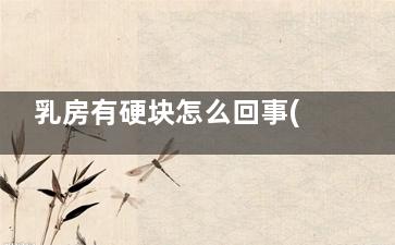 乳房有硬块怎么回事(乳房有硬块怎么摸出来)
