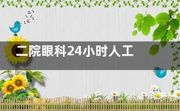 二院眼科24小时人工服务实测：二院眼科24小时热线背后的急诊故事与自救指南！