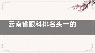 云南省眼科排名头一的医院揭晓！昆明爱尔眼科如何用头部技术解决近视手术焦虑？