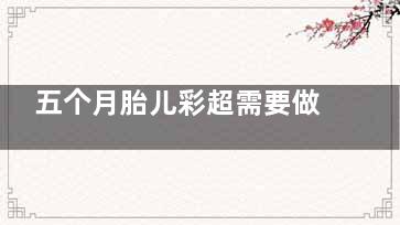 五个月胎儿彩超需要做什么(五个月胎儿彩超可以确定男女了吗)