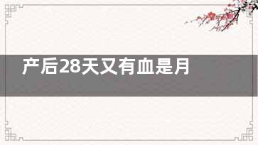 产后28天又有血是月经吗,生产后28天还有血