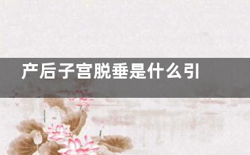 产后子宫脱垂是什么引起的