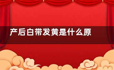 产后白带发黄是什么原因