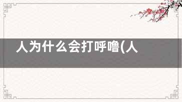 人为什么会打呼噜(人为什么会打呼磨牙)