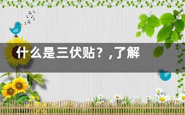 什么是三伏贴？,了解三伏贴作用和注意事项(什么是三伏贴可以治疗膝盖冷吗)