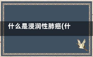 什么是浸润性肺癌(什么是浸润性肺腺癌1a期)
