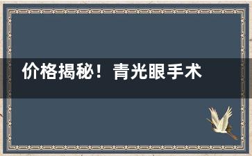 价格揭秘！青光眼手术大概需要多少钱？混合性青光眼8000+、继发性9000+、先天性10000+