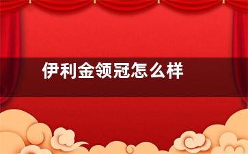 伊利金领冠怎么样