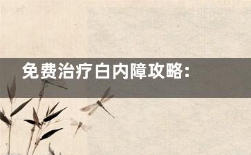 免费治疗白内障攻略:手把手教你免费治疗白内障怎么申请,重获清晰视界不再难