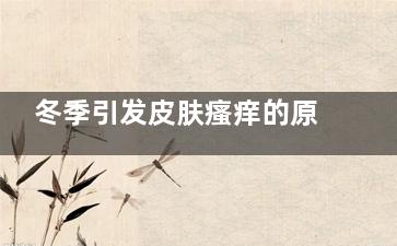 冬季引发皮肤瘙痒的原因和解决办法