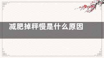 减肥掉秤慢是什么原因(减脂掉秤慢)
