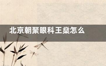 北京朝聚眼科王燊怎么样技术靠谱吗？博士+SCI论文+ISRS成员，解读全飞秒/半飞秒技术优势~