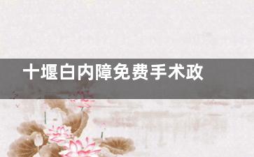 十堰白内障免费手术政策介绍，2025年这些情况或可申请免费手术！
