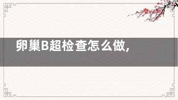 卵巢B超检查怎么做,怎么做卵巢b超