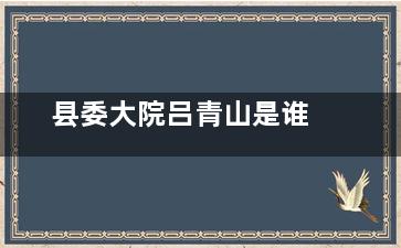县委大院吕青山是谁