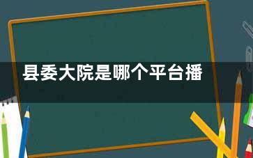 县委大院是哪个平台播出