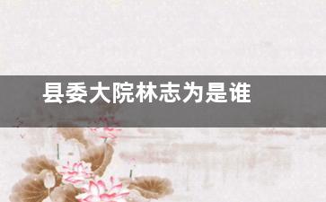 县委大院林志为是谁