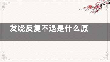 发烧反复不退是什么原因引起的