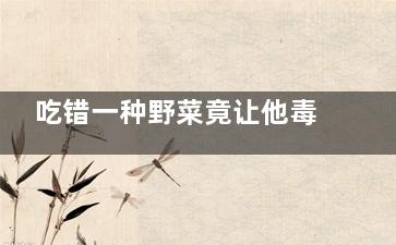 吃错一种野菜竟让他毒发身亡！,吃野菜中毒事件