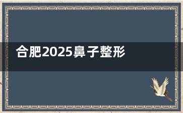 合肥2025鼻子整形价格明细：硅胶隆鼻5000+膨体隆鼻8000+鼻头缩小术6000+