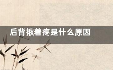 后背揪着疼是什么原因(后背揪了很疼很舒服)