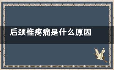 后颈椎疼痛是什么原因