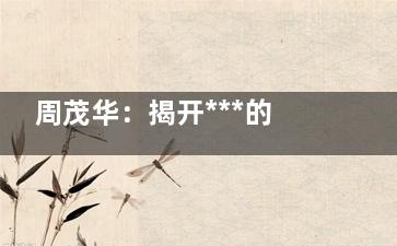 周茂华：揭开***的神秘面纱