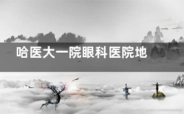 哈医大一院眼科医院地址在哪里？哈医大一院眼科去哪个院区？