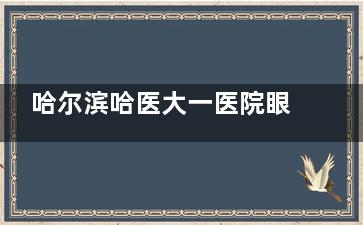 哈尔滨哈医大一医院眼科医生名单，白内障/近视手术/青光眼等医生介绍
