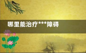 哪里能治疗***障碍(哪里治疗***障碍***有效)